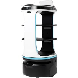 Bear Servi Plus Robot, Battery